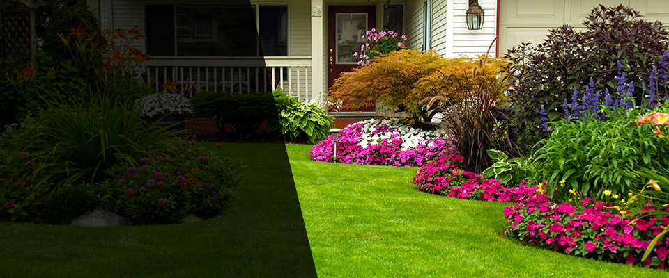 Shepherd Landscapers