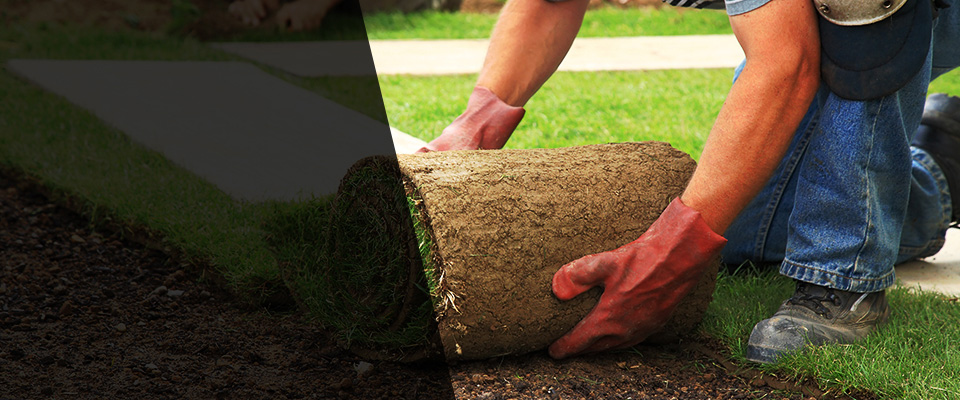 Shepherd Landscapers